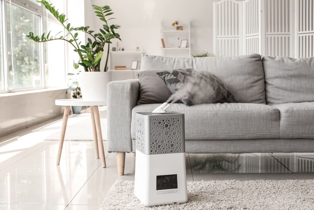 najlepszy nawilżacz powietrza