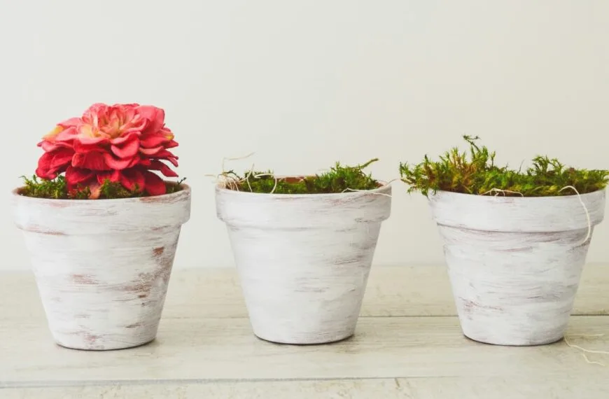 inteligentne donice samowadniające